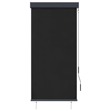 Rolgordijn voor buiten 80x250 cm antraciet