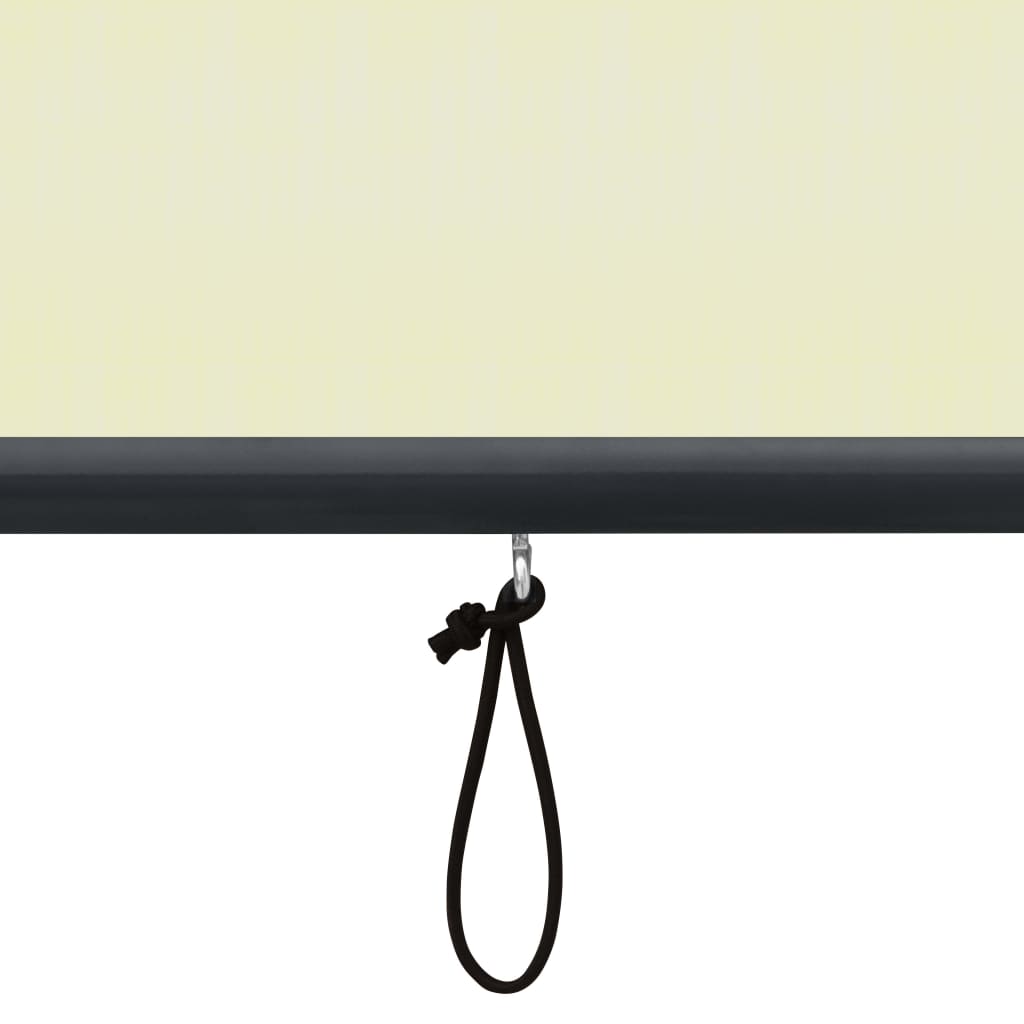 Rolgordijn voor buiten 100x250 cm crème