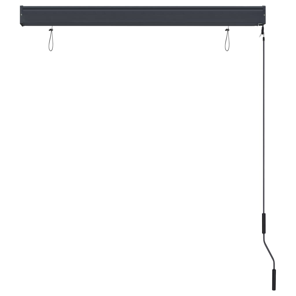 Rolgordijn voor buiten 120x250 cm antraciet