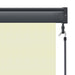 Rolgordijn voor buiten 120x250 cm crème