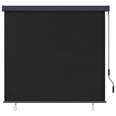 Rolgordijn voor buiten 160x250 cm antraciet