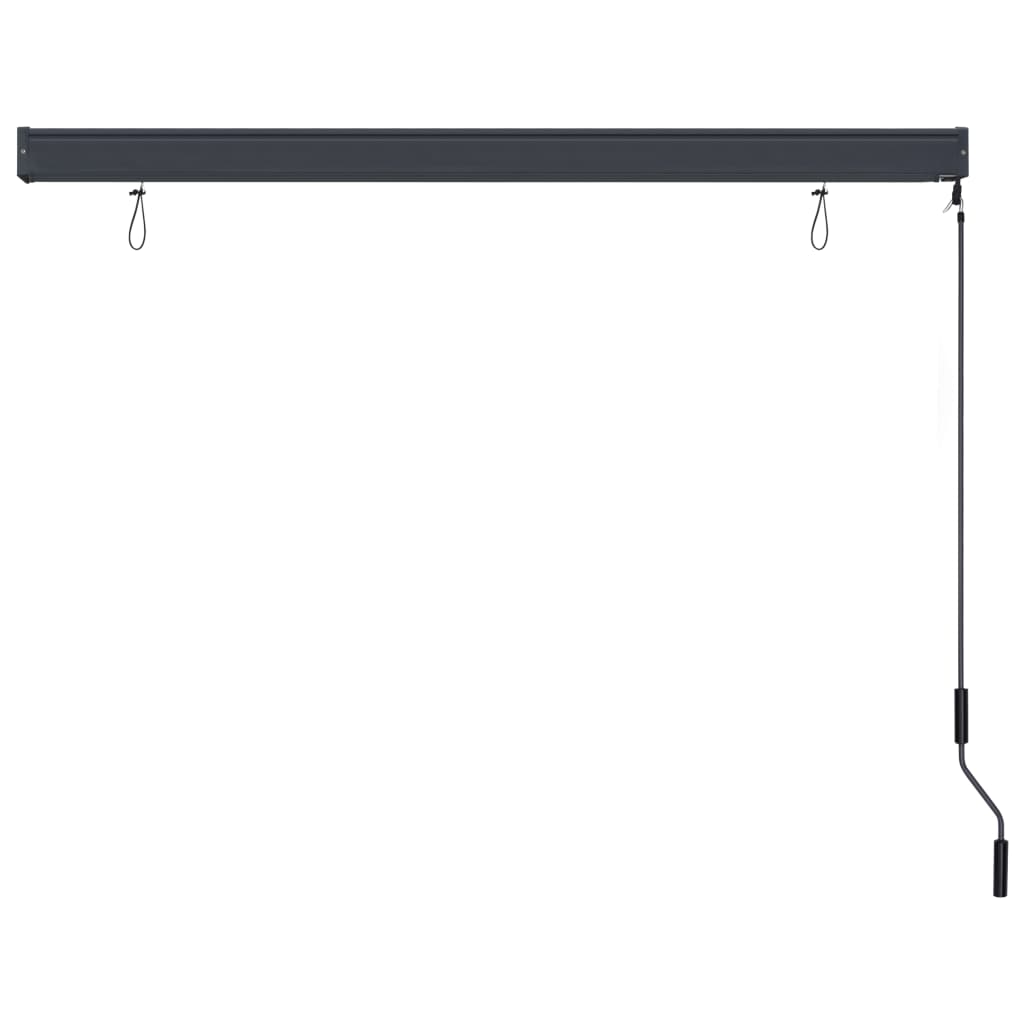 Rolgordijn voor buiten 160x250 cm antraciet