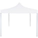 Partytent Inklapbaar 3X3 M Staal Nee