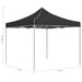 Partytent professioneel inklapbaar 2x2 m aluminium antraciet