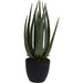 Overige Merken Kunstplant Aloë Vera 25X45 Cm Groen