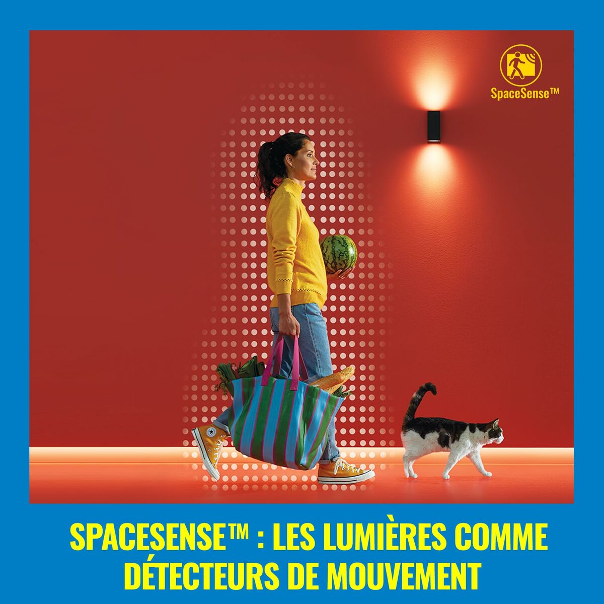 V6H8E169D013C29E71F9C46B722C327A50FR7170019P10