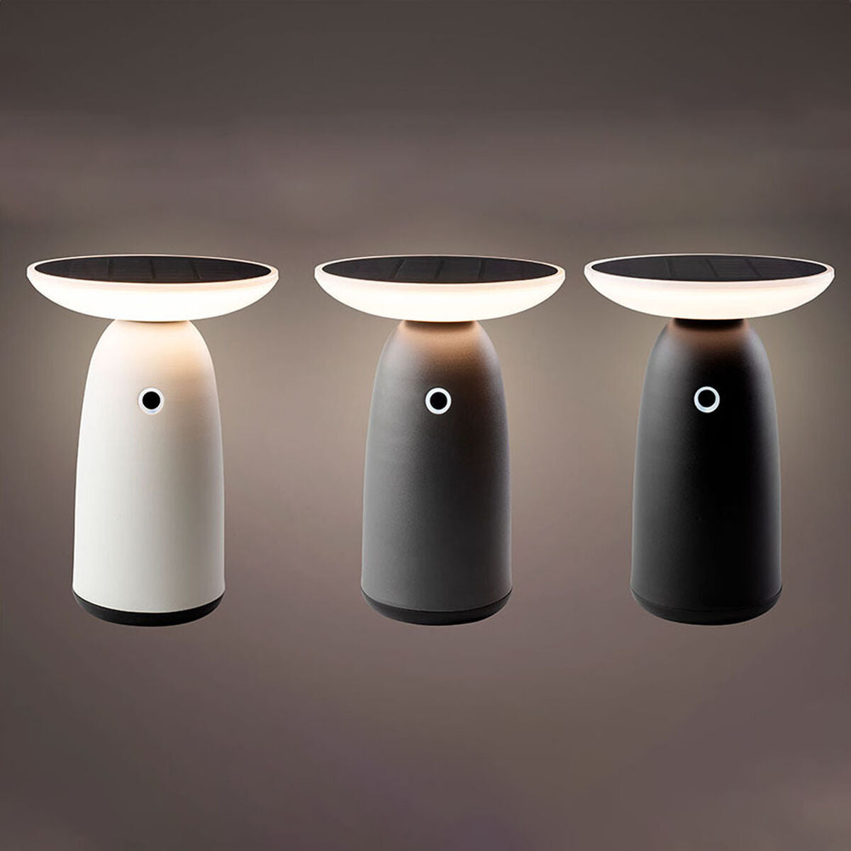 V7H2FDDF738B98778A756DC23EEDC9C96C1R4107081P2