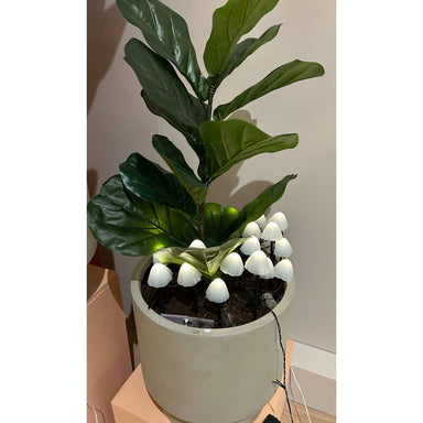 V4H3F0B8D15E3606375D44B258834F67FE6R7170222P2