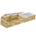 Kweekkassen 2 st 200x50x35 cm geïmpregneerd grenenhout