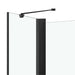 Douche klapwand 120x68x130 cm ESG zwart