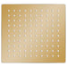 Regendouchekop vierkant 20x20 cm roestvrij staal goudkleurig
