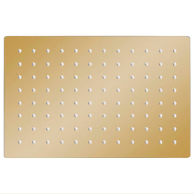 Regendouchekop rechthoekig 30x20 cm roestvrij staal goudkleurig