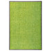 Deurmat wasbaar 60x90 cm groen
