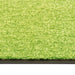 Deurmat wasbaar 60x90 cm groen