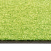 Deurmat wasbaar 90x120 cm groen