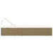 Ligbed poly rattan bruin en crèmewit