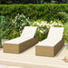 Ligbed poly rattan bruin en crèmewit