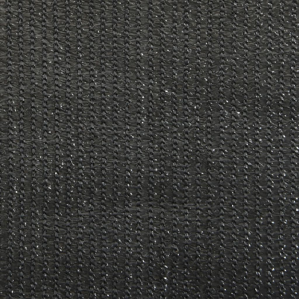 Rolgordijn voor buiten 65(B)x140(H) cm antracietkleurig