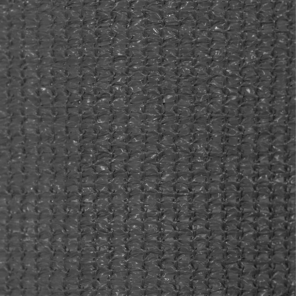 Rolgordijn voor buiten 85(B)x230(H) cm antracietkleurig