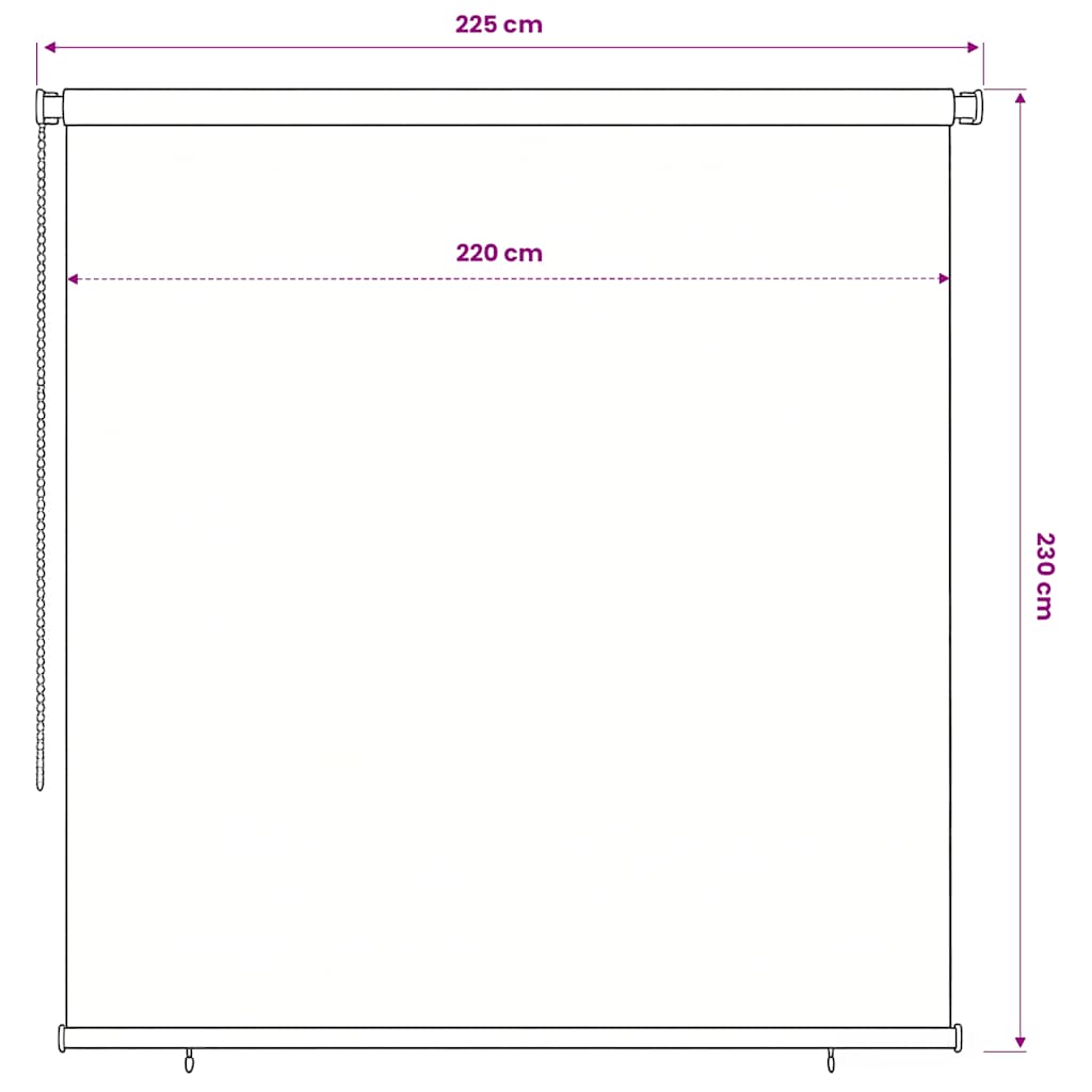Rolgordijn voor buiten 245(B)x230(H) cm zwart