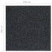 Droogloopmat 100x100 cm antracietkleurig