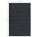 Droogloopmat 100x150 cm antracietkleurig