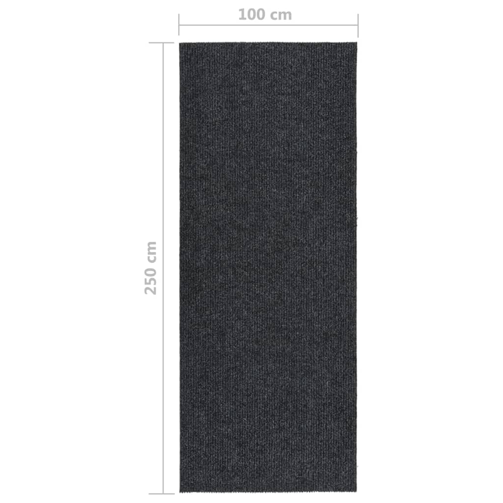 Droogloopmat 100x250 cm antracietkleurig