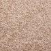 Deurmat 60x80 cm beige
