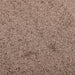 Deurmat 80x120 cm bruin