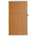 Tuinschuur 88x89x161 cm gegalvaniseerd staal bruin