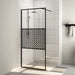 Inloopdouchewand 100x195 cm ESG-glas transparant en zwart