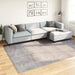 Vloerkleed wasbaar 190x300 cm grijs