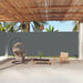 Tuinscherm Uittrekbaar 220X1000 Cm Antracietkleurig 220 x 1000 cm