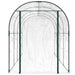 Tuinkas 160X400X190 Cm Pvc En Gepoedercoat Staal Transparant