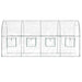Tuinkas 160X400X190 Cm Pvc En Gepoedercoat Staal Transparant