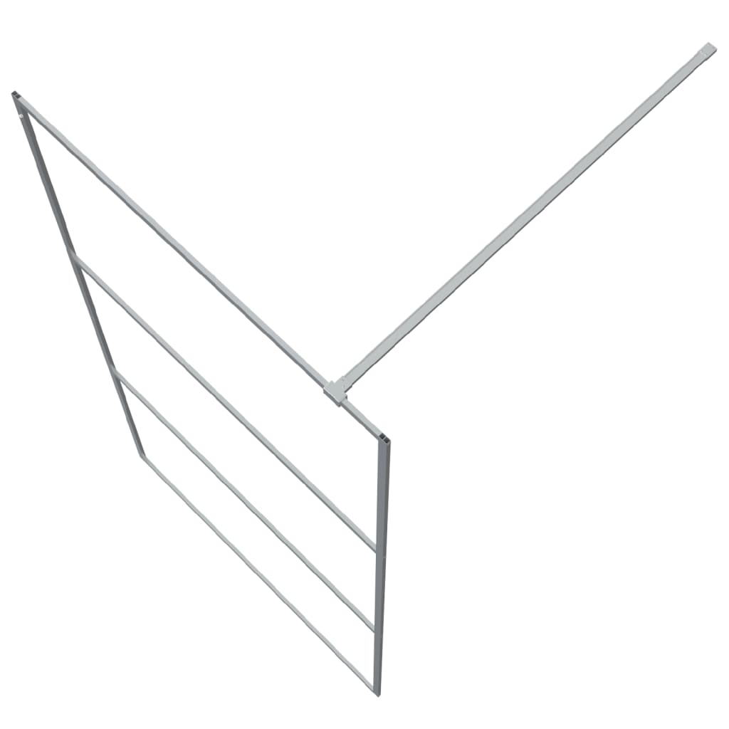 Inloopdouchewand 100x195 cm transparant ESG-glas zilverkleurig