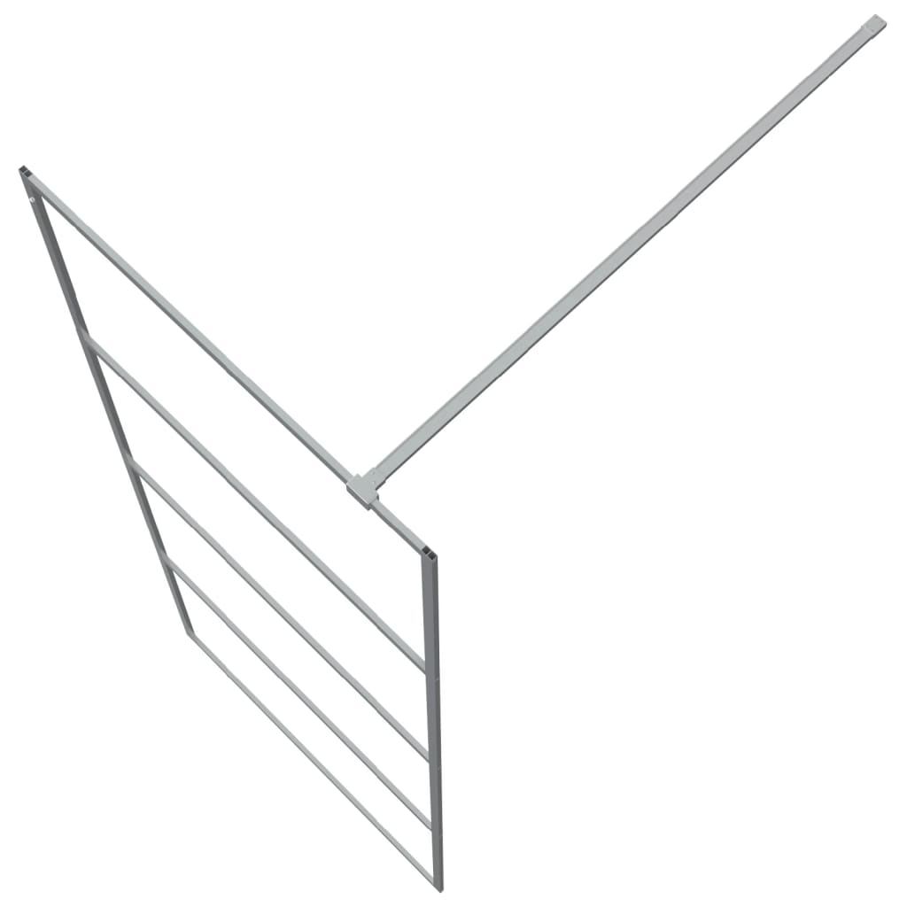 Inloopdouchewand 80x195 cm transparant ESG-glas zilverkleurig