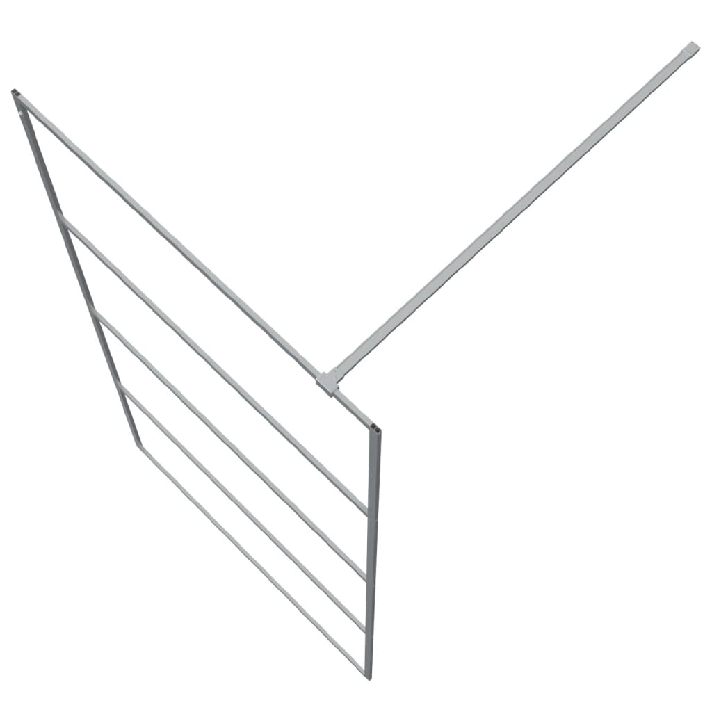 Inloopdouchewand 100x195 cm transparant ESG-glas zilverkleurig