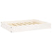 Hondenmand 71,5x54x9 cm massief grenenhout wit