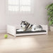 Hondenmand 105,5x75,5x28 cm massief grenenhout wit