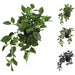 Overige Merken Kust Hangplant Tradescantia In Pot 42 Cm Assorti