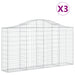 Schanskorven 3 St Gewelfd 200X30X100/120 Cm Ijzer 200 x 30 x 100/120 cm