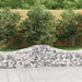 Schanskorven 10 St Gewelfd 200X50X40/60 Cm Gegalvaniseerd Ijzer 200 x 50 x 40/60 cm