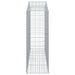 Schanskorven 2 St Gewelfd 200X50X140/160 Cm Ijzer 200 x 50 x 140/160 cm