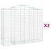 Schanskorven 2 St Gewelfd 200X50X160/180 Cm Ijzer 200 x 50 x 160/180 cm