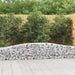 Schanskorven 5 St Gewelfd 400X30X40/60 Cm Ijzer 400 x 30 x 40/60 cm