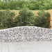 Schanskorven 5 St Gewelfd 400X50X60/80 Cm Gegalvaniseerd Ijzer 400 x 50 x 60/80 cm