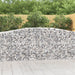 Schanskorven 15 St Gewelfd 400X50X100/120 Cm Ijzer 400 x 50 x 100/120 cm
