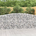 Schanskorven 20 St Gewelfd 400X50X100/120 Cm Ijzer 400 x 50 x 100/120 cm