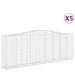 Schanskorven 5 St Gewelfd 400X50X140/160 Cm Ijzer 400 x 50 x 140/160 cm